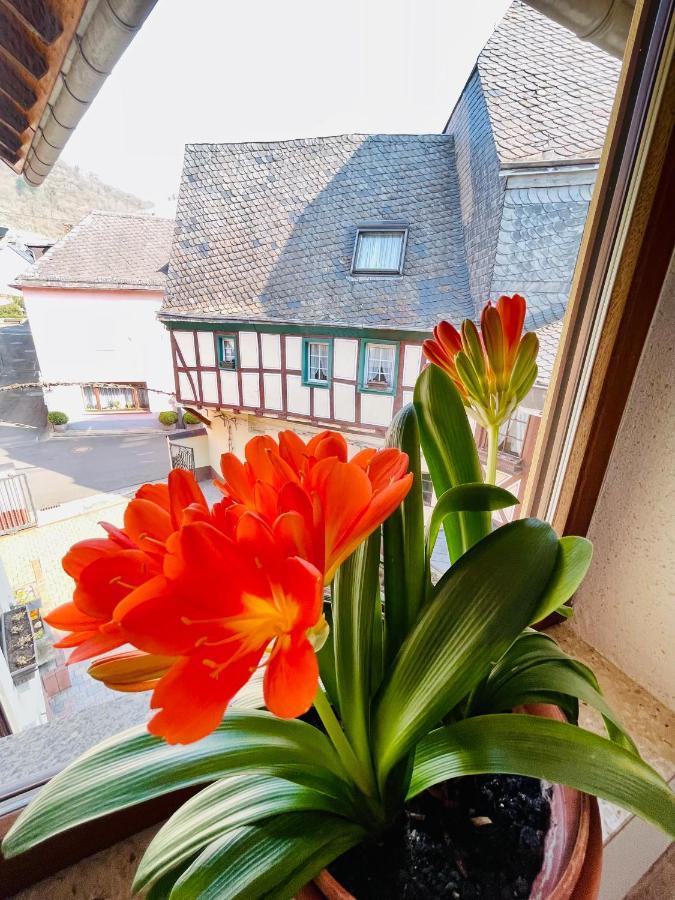Hotel Pension Balthasar Мюден Экстерьер фото